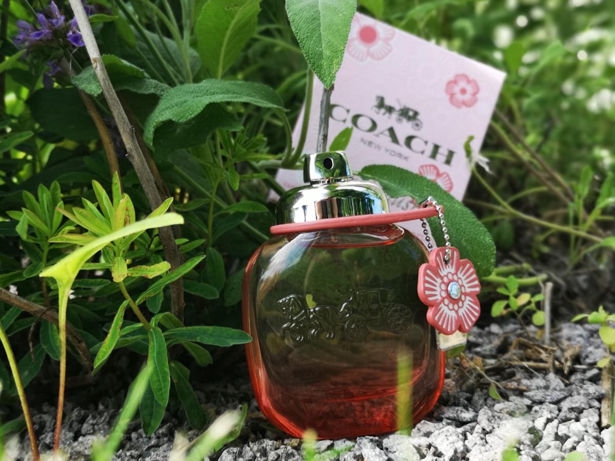 Coach Floral Blush - Coach - Gallery 2