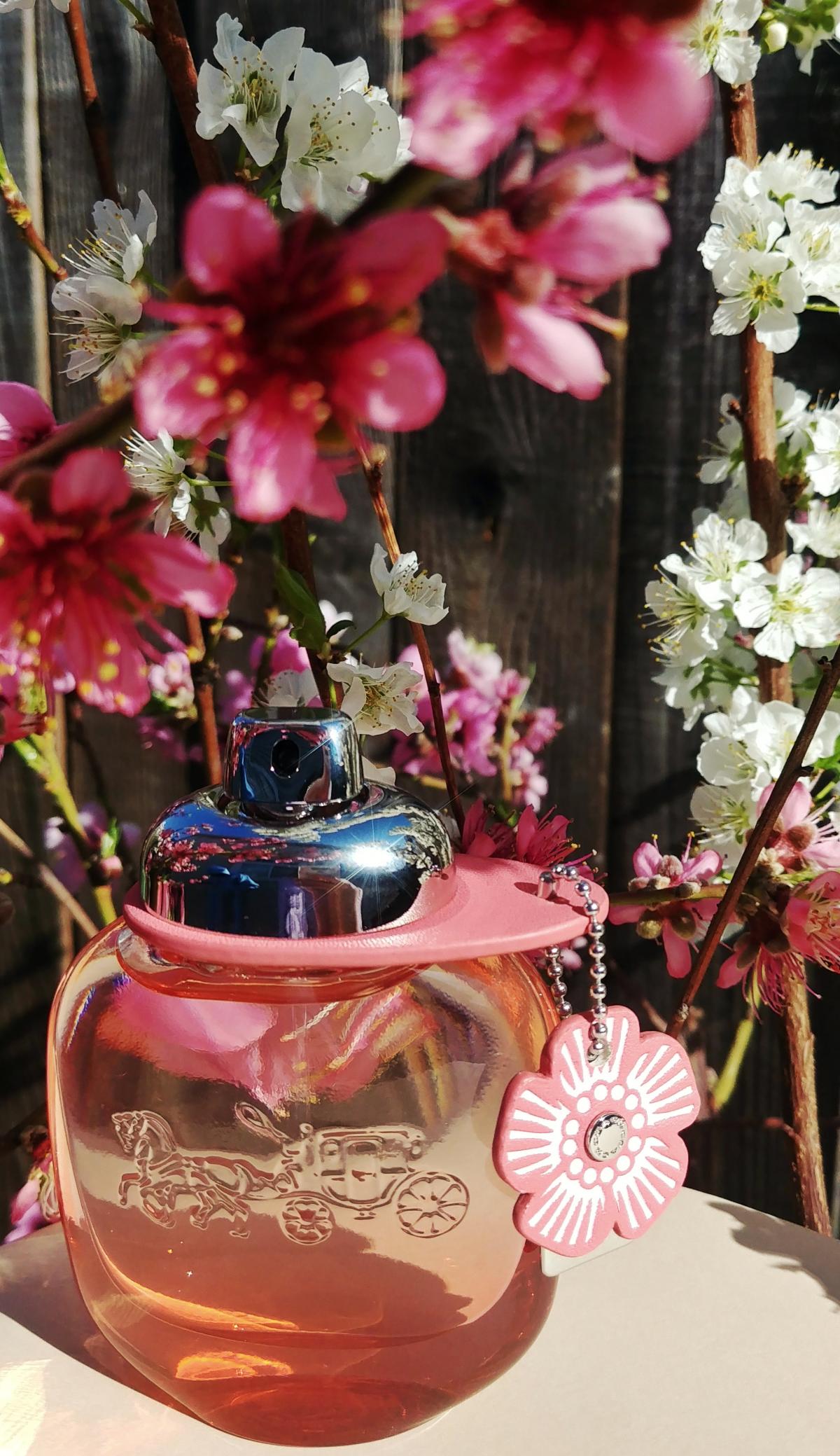 Coach Floral Blush - Coach - Gallery 1