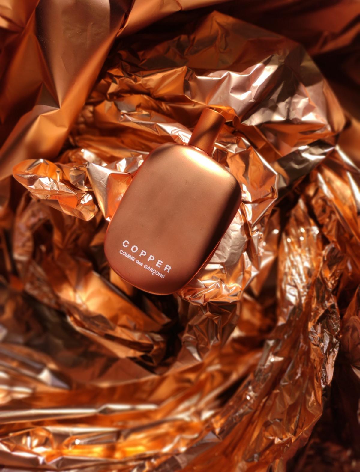 Copper - Comme des Garcons - Gallery 4