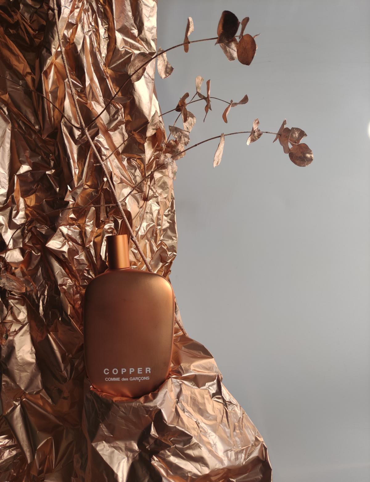 Copper - Comme des Garcons - Gallery 1