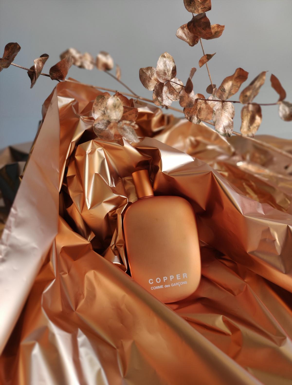 Copper - Comme des Garcons - Gallery 3