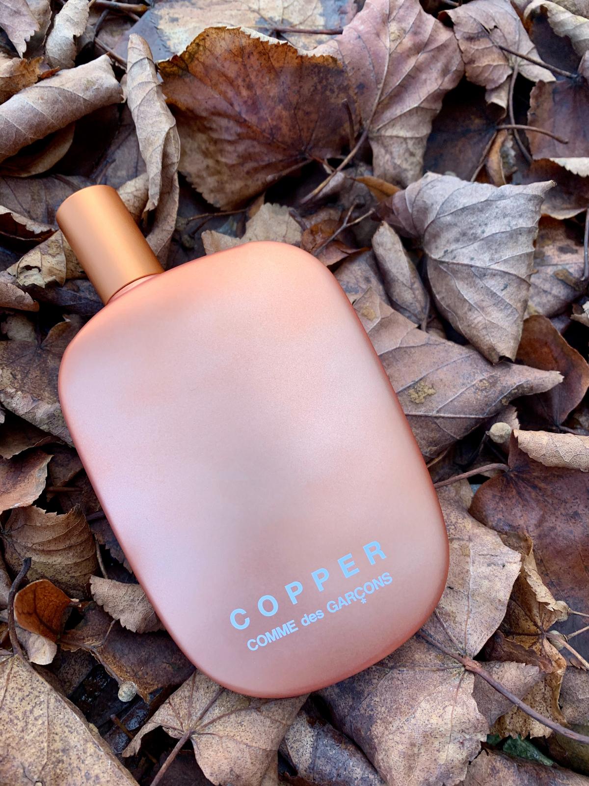 Copper - Comme des Garcons - Gallery 2