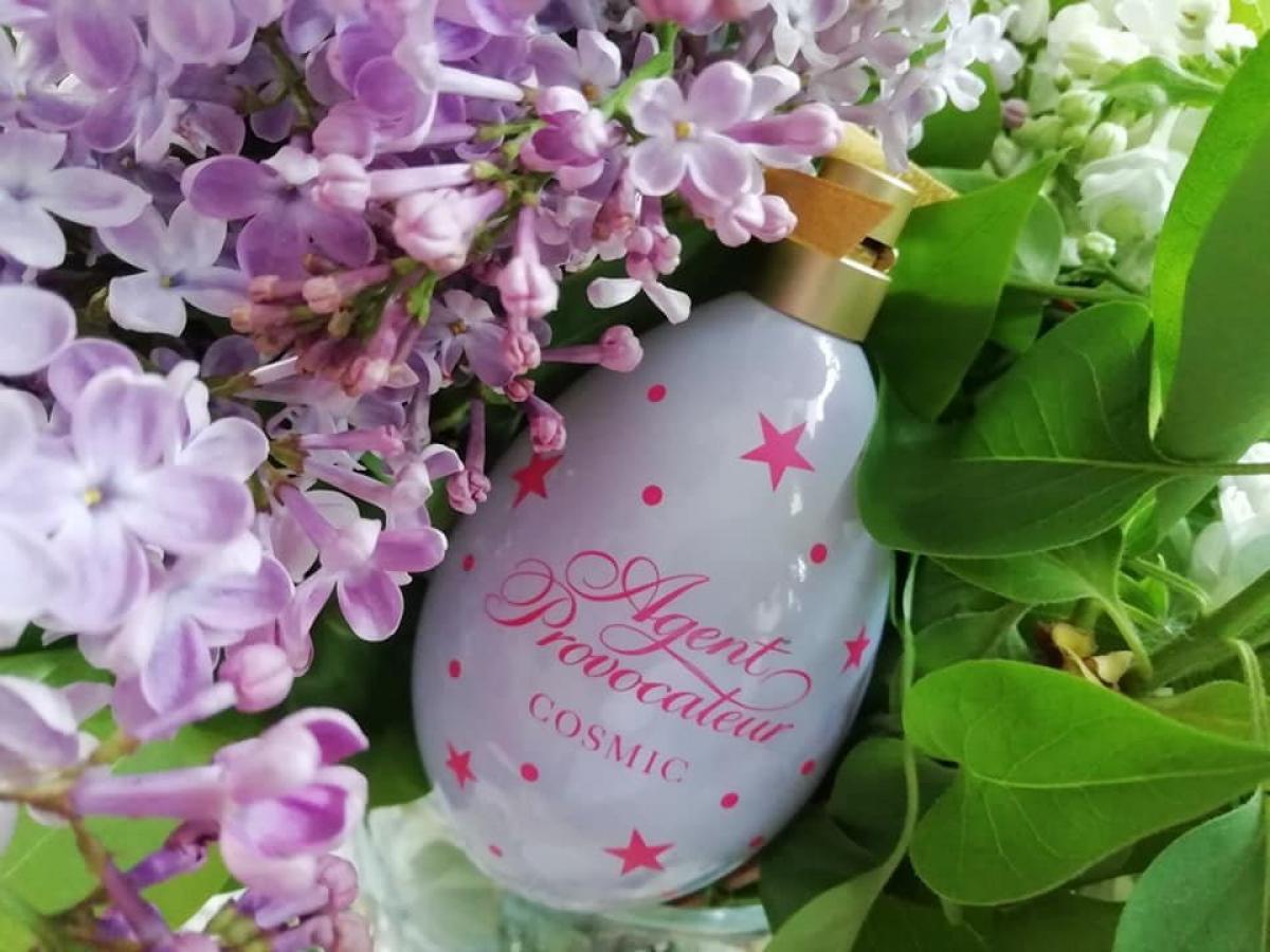 Cosmic - Agent Provocateur - Gallery 3