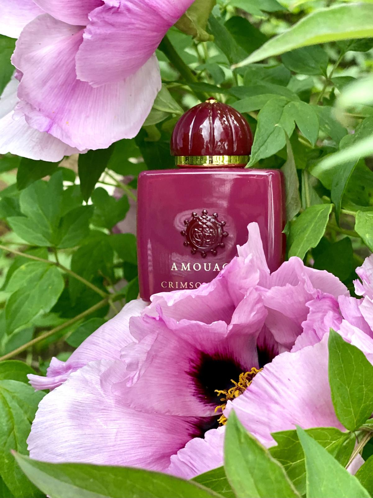 Crimson Rocks - Amouage - Gallery 4