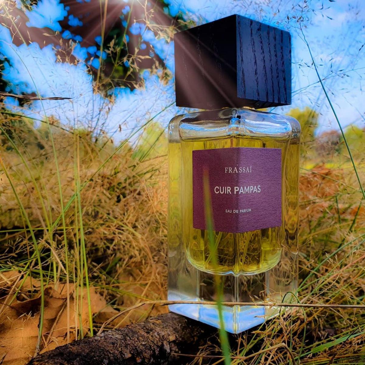 Cuir Pampas - Frassai - Gallery 1