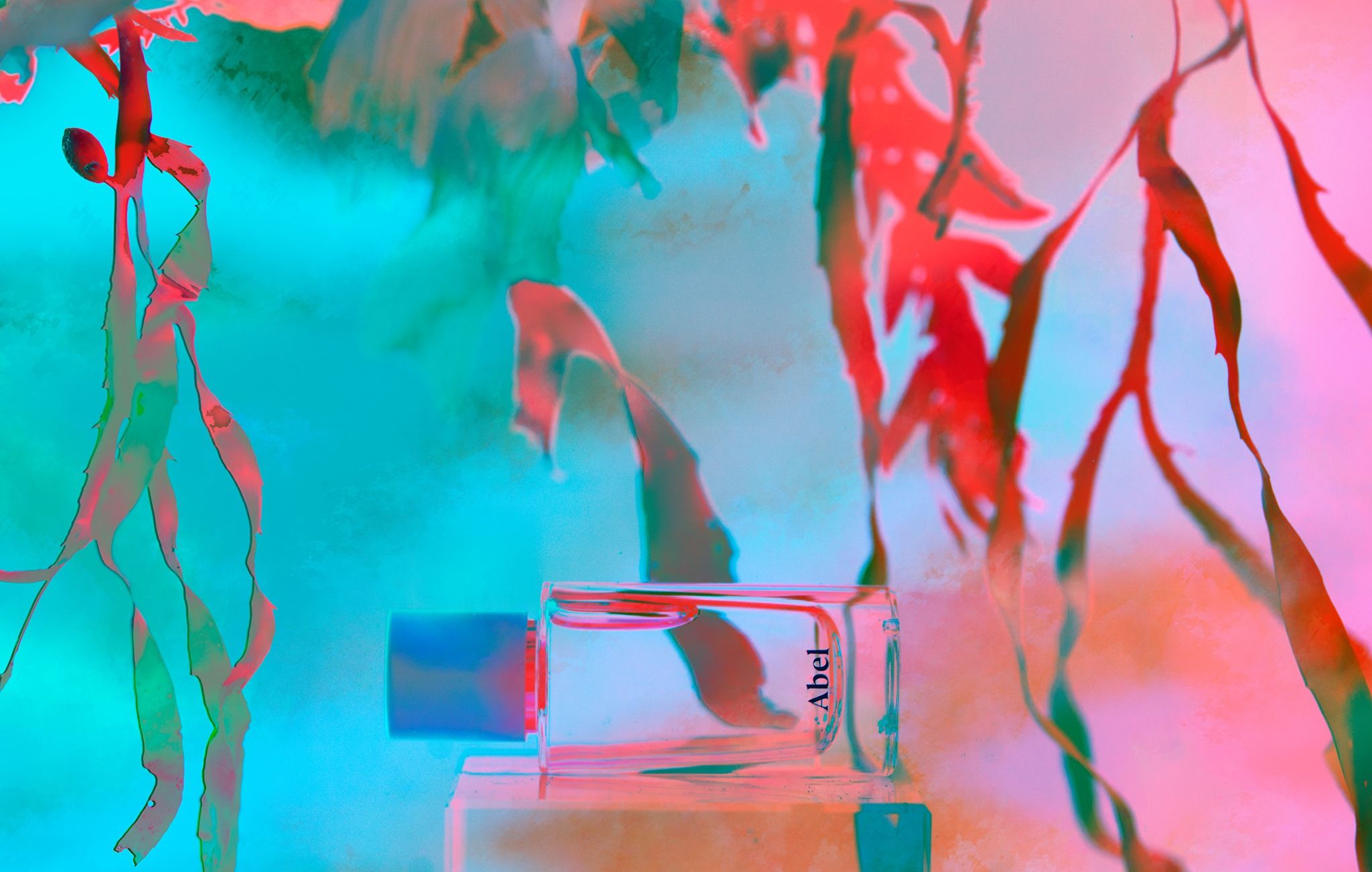 Cyan Nori - Abel - Gallery 4