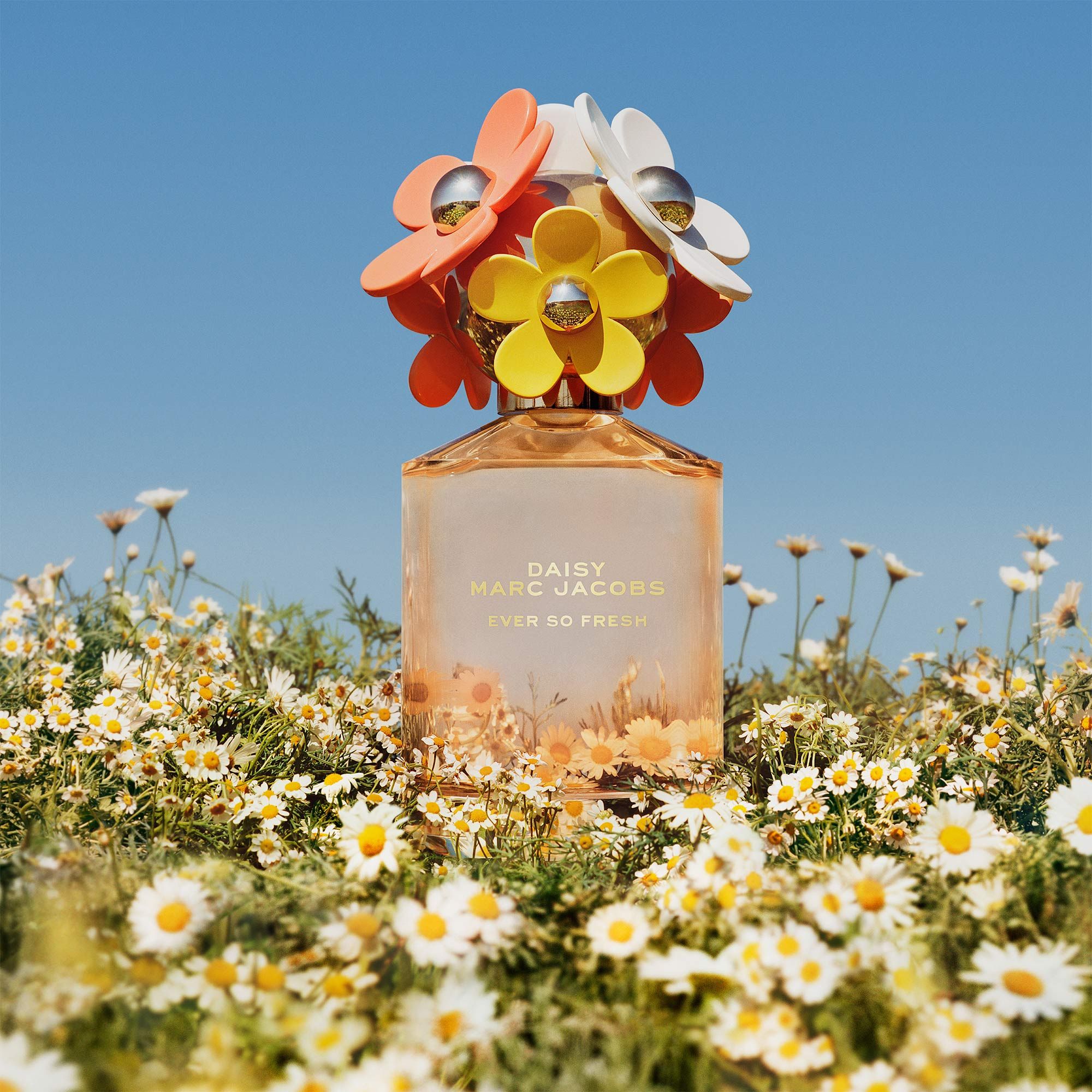 Daisy Ever So Fresh - Marc Jacobs - Gallery 1