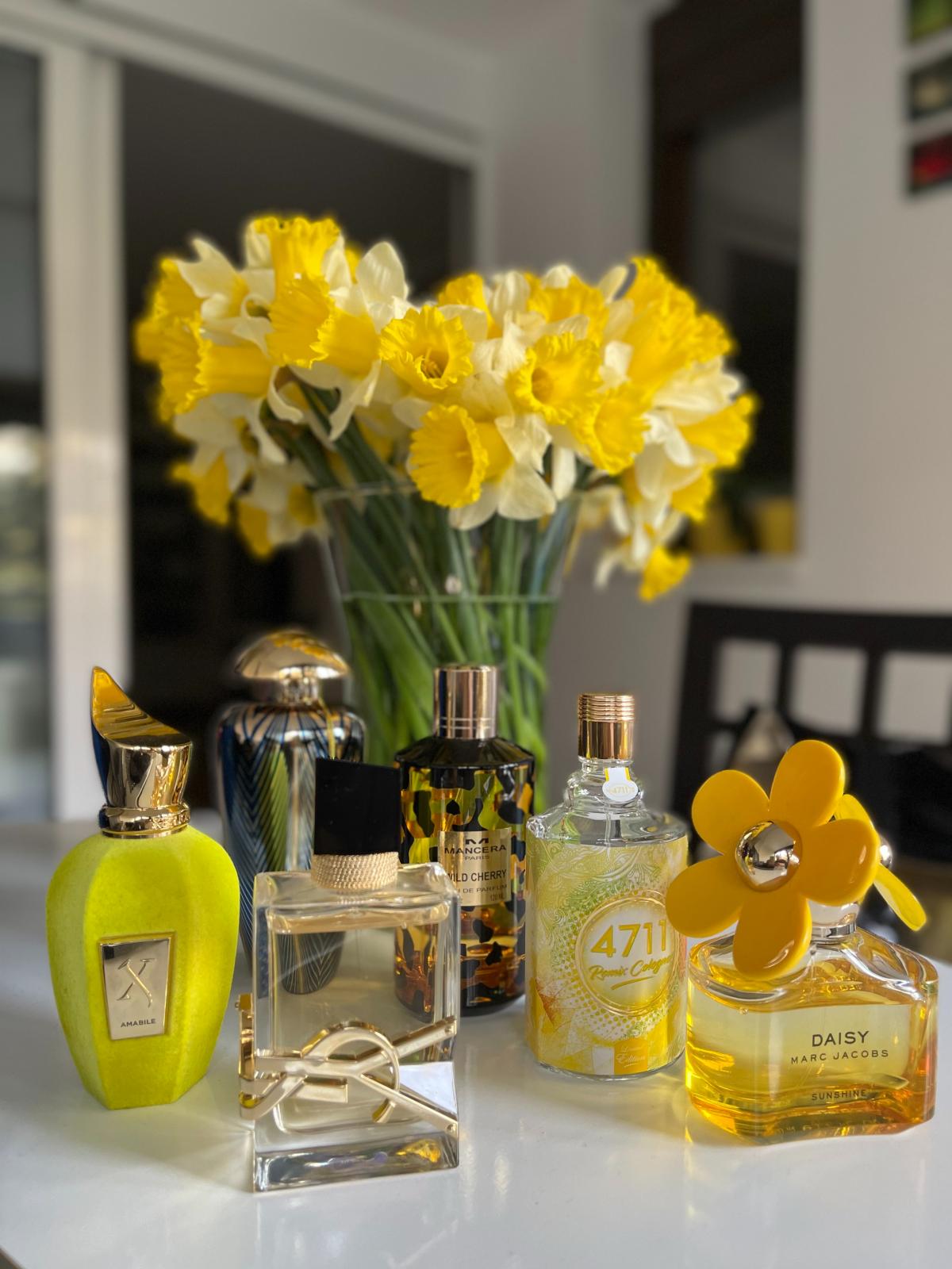 Daisy Sunshine - Marc Jacobs - Gallery 1