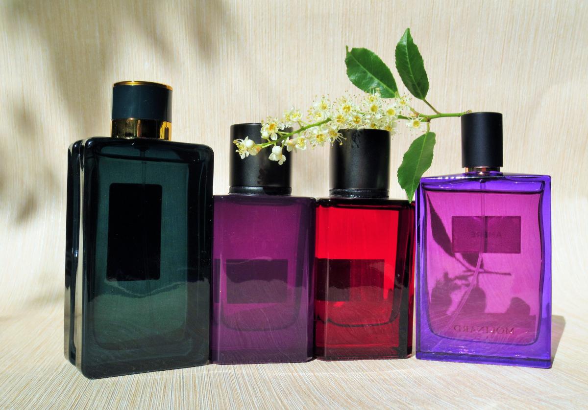 Dark Cherry & Amber - Banana Republic - Gallery 3