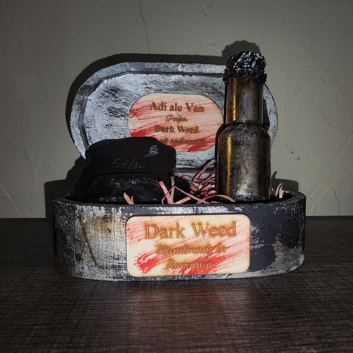 Dark Weed - Extrait Rudimentar - Adi Ale Van - Gallery 1