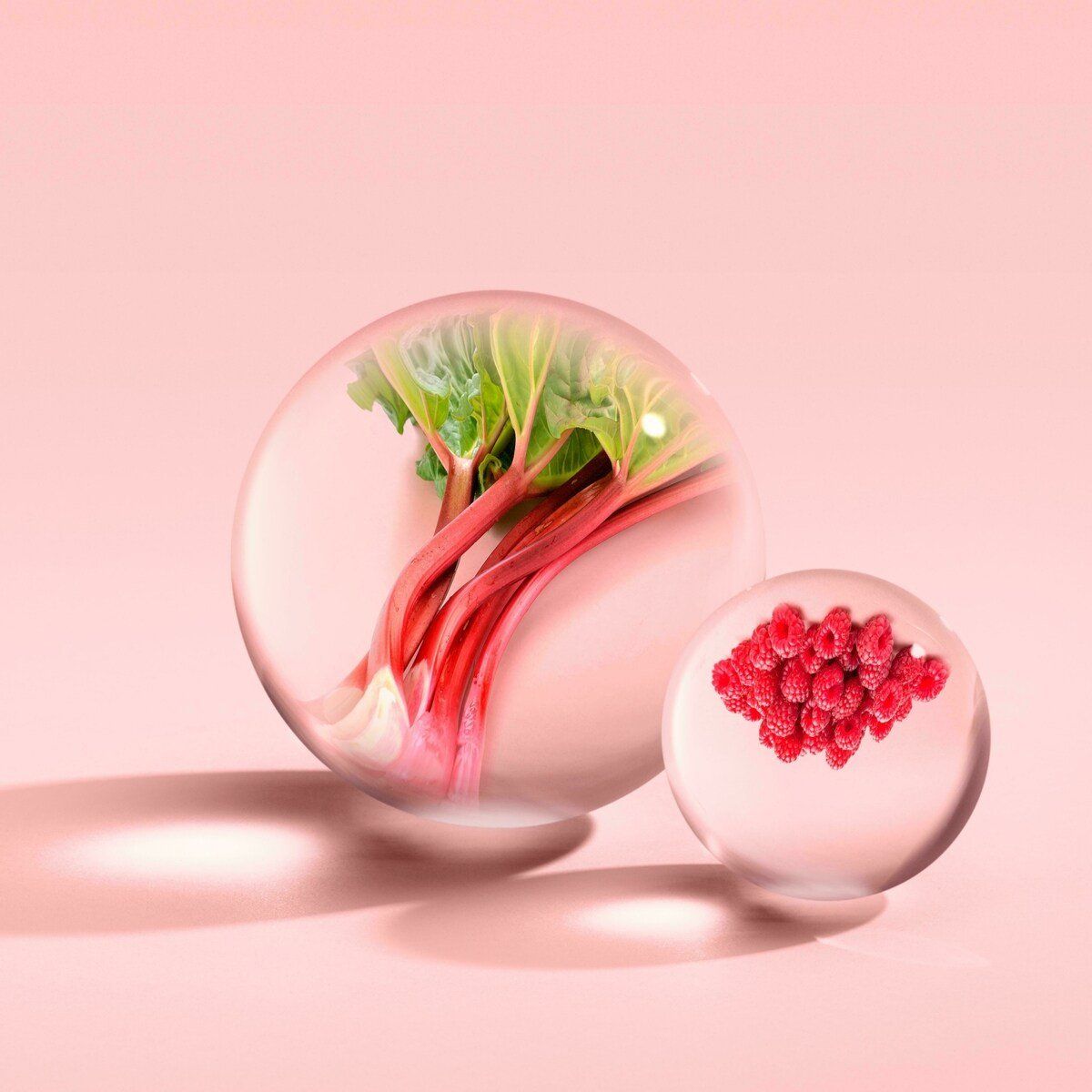 Delicious Rhubarb & Rose Eau de Parfum - Molton Brown - Gallery 4