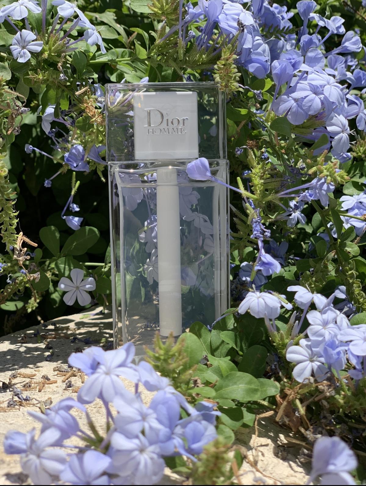 Dior Homme Cologne 2022 - Dior - Gallery 4