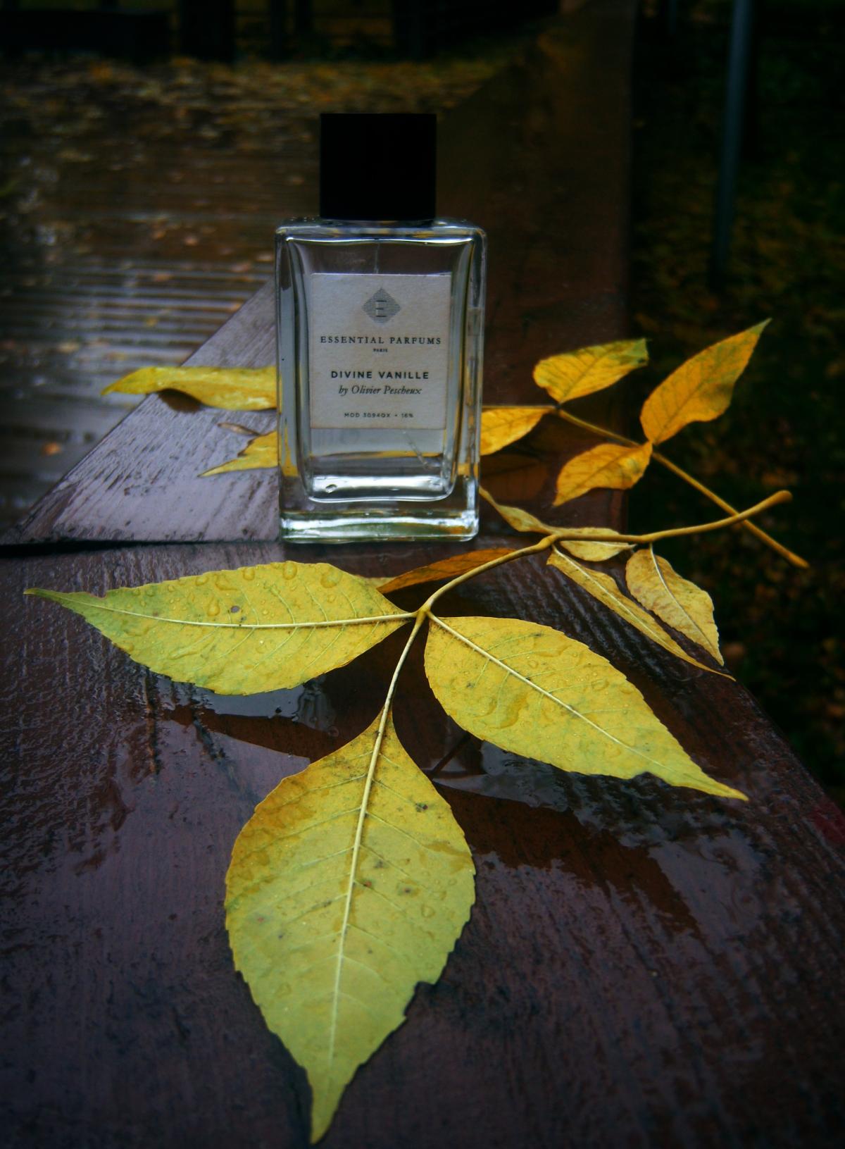 Divine Vanille - Essential Parfums - Gallery 4