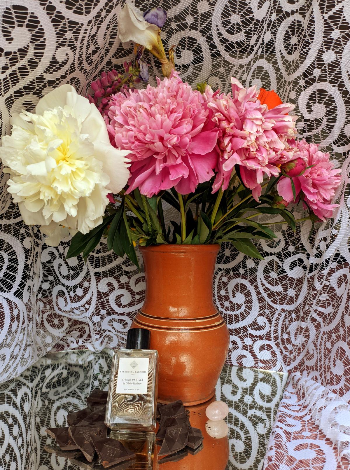 Divine Vanille - Essential Parfums - Gallery 1