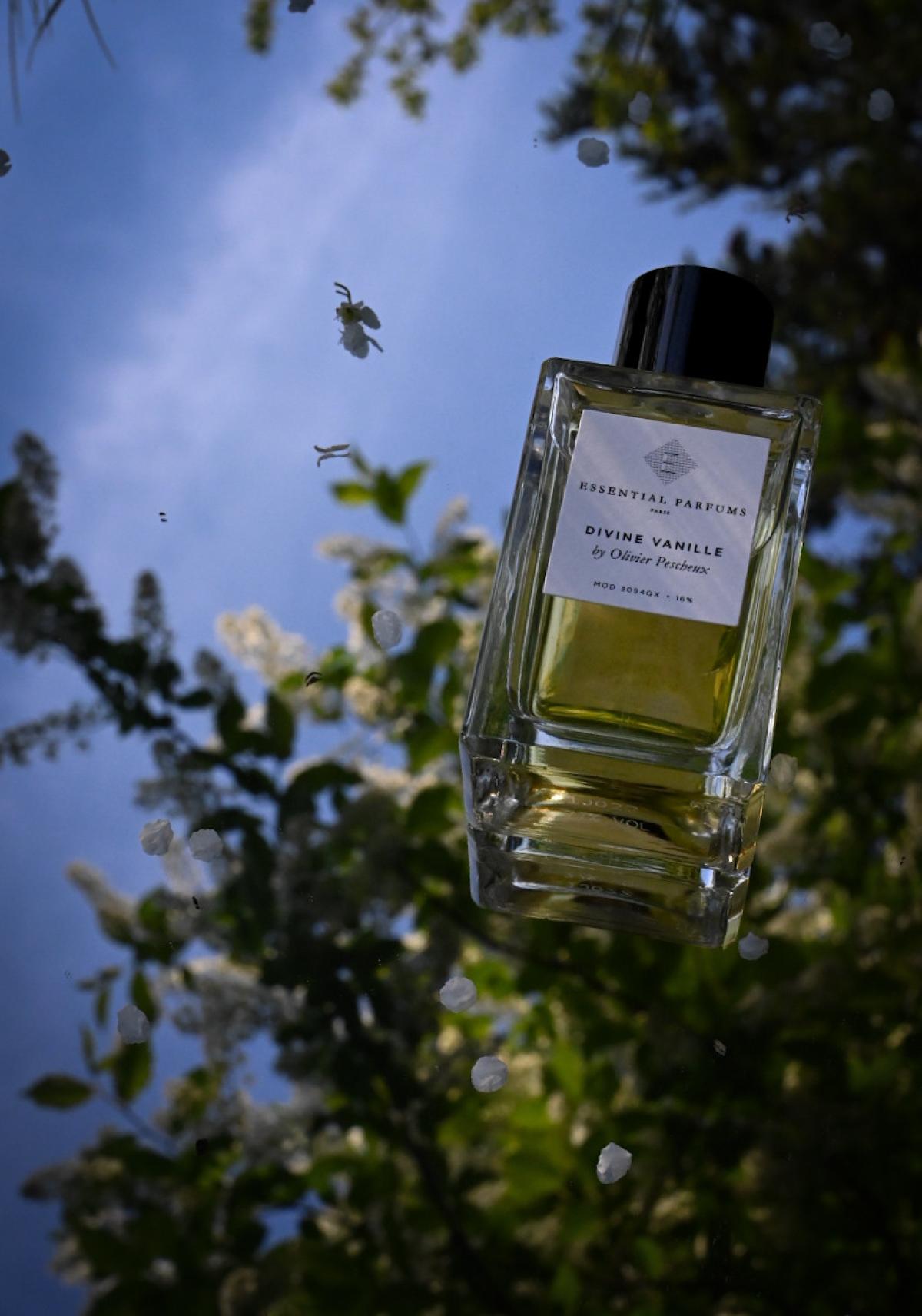 Divine Vanille - Essential Parfums - Gallery 3