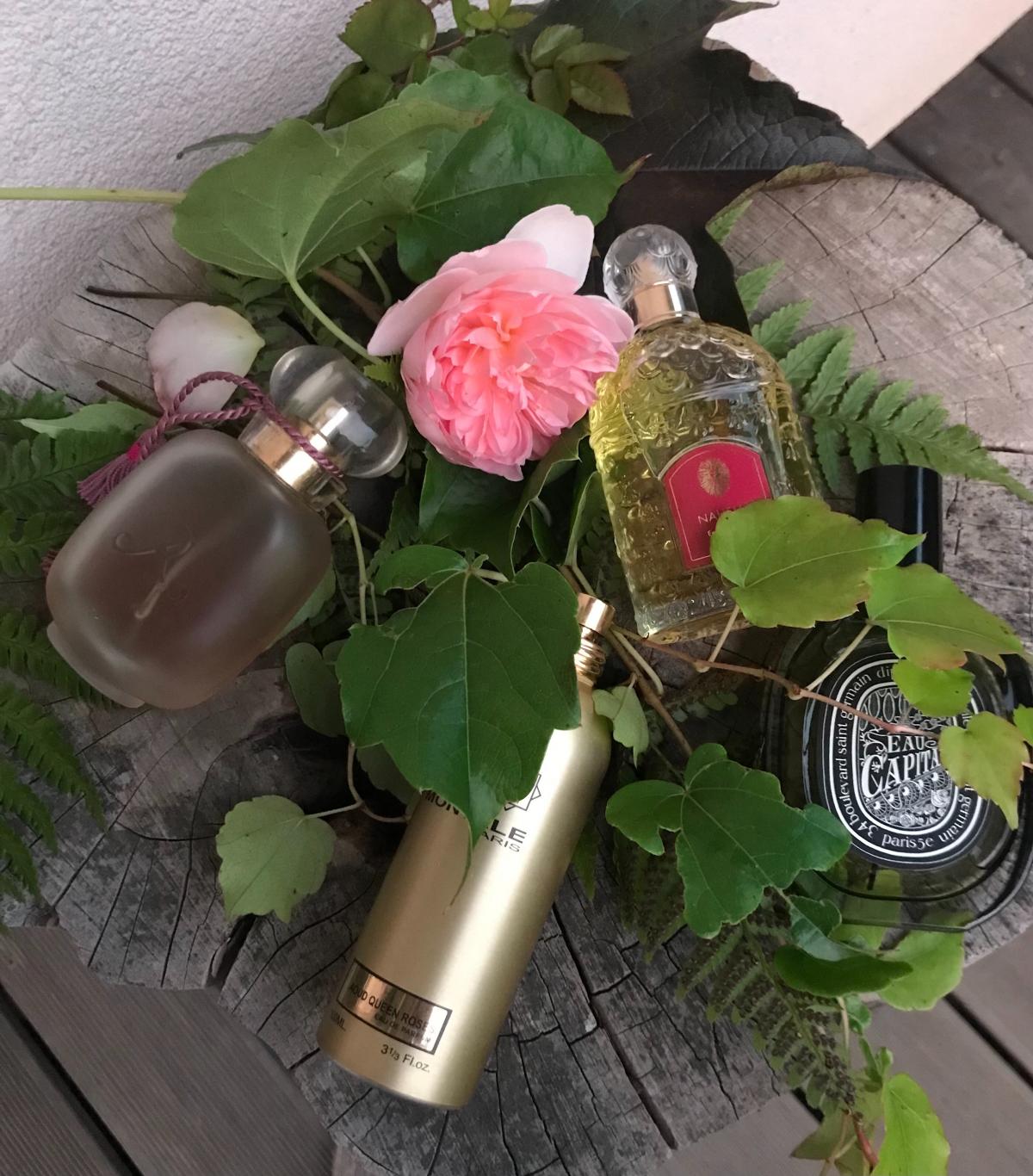 Eau Capitale Eau de Parfum - Diptyque - Gallery 2