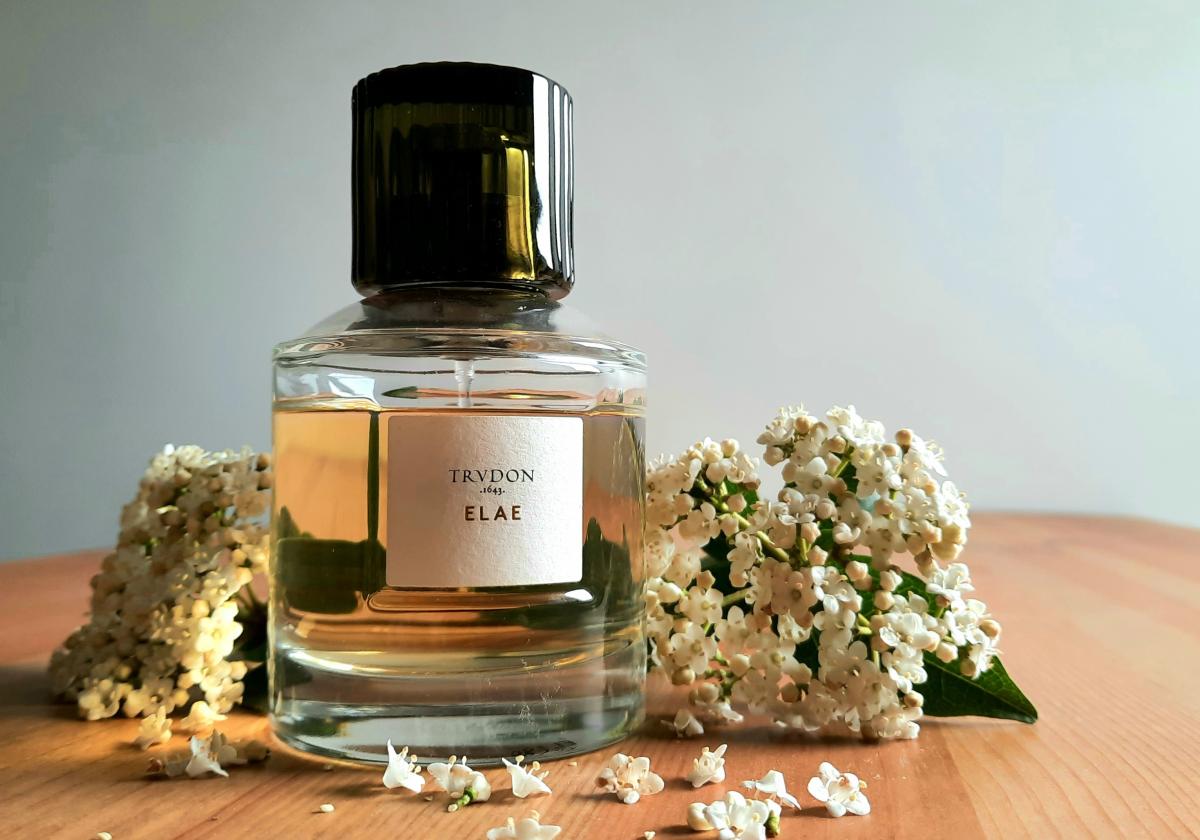 Elae - Maison Trudon - Gallery 2