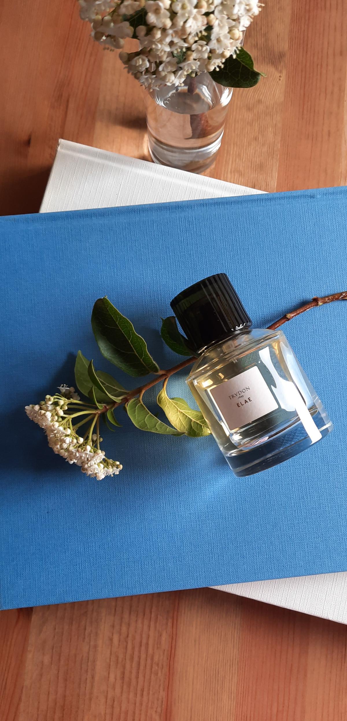 Elae - Maison Trudon - Gallery 3