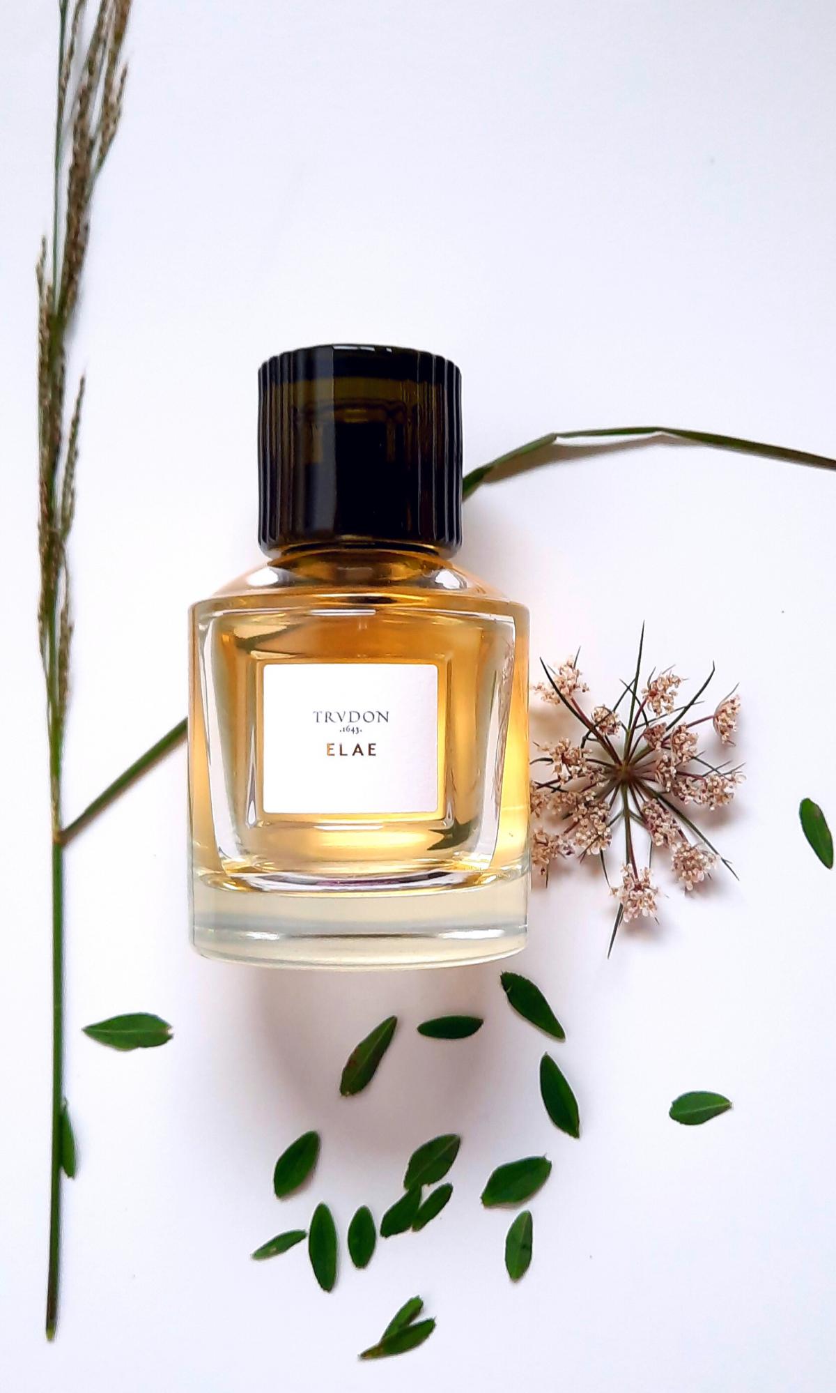 Elae - Maison Trudon - Gallery 4