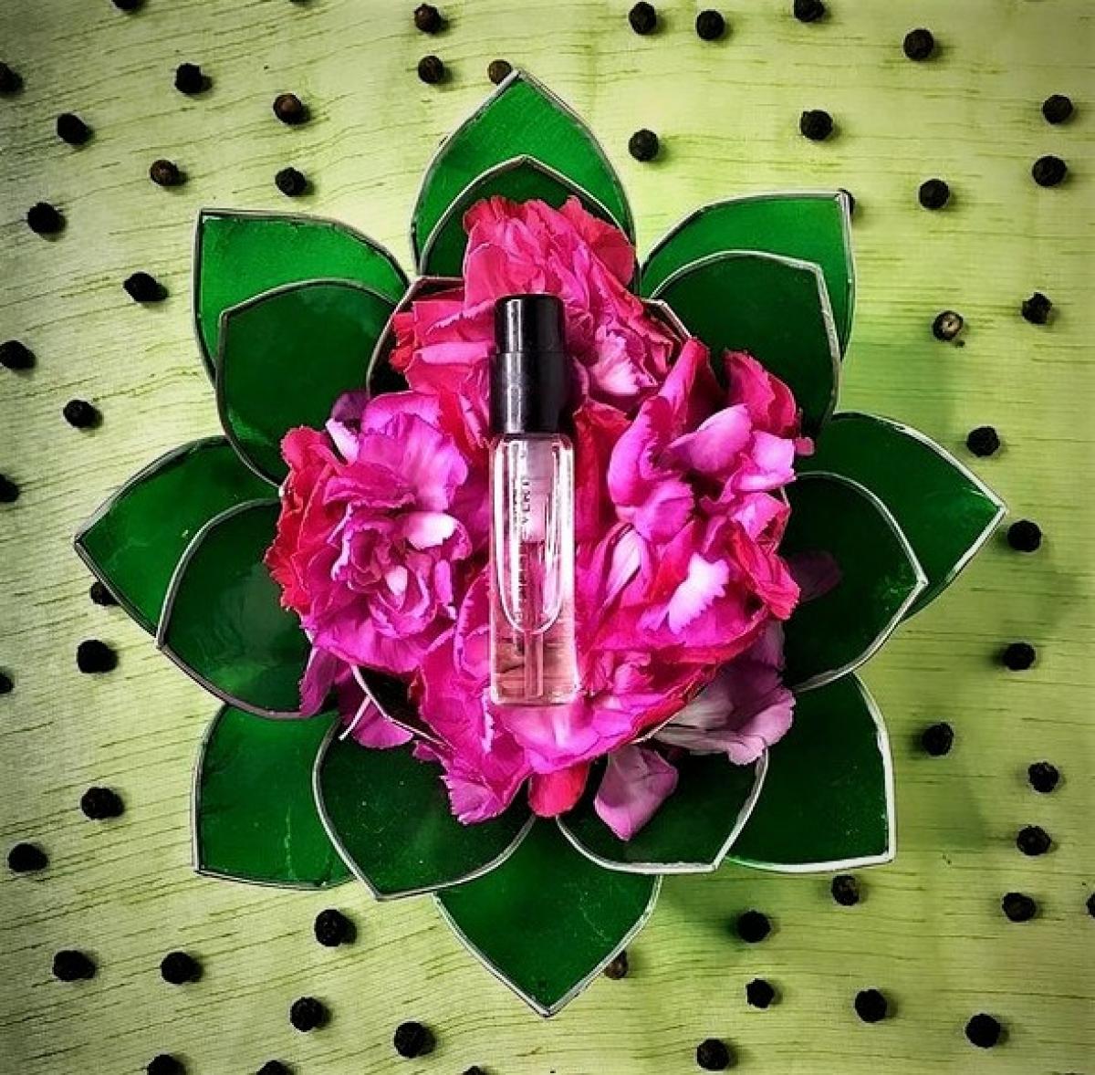 Eloge du Vert - Les Parfums de Rosine - Gallery 1