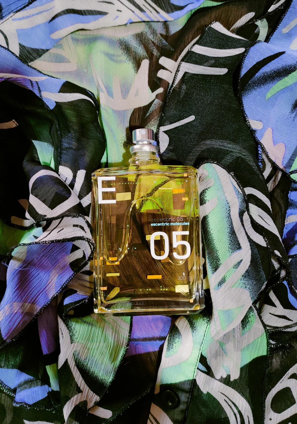 Escentric 05 - Escentric Molecules - Gallery 2