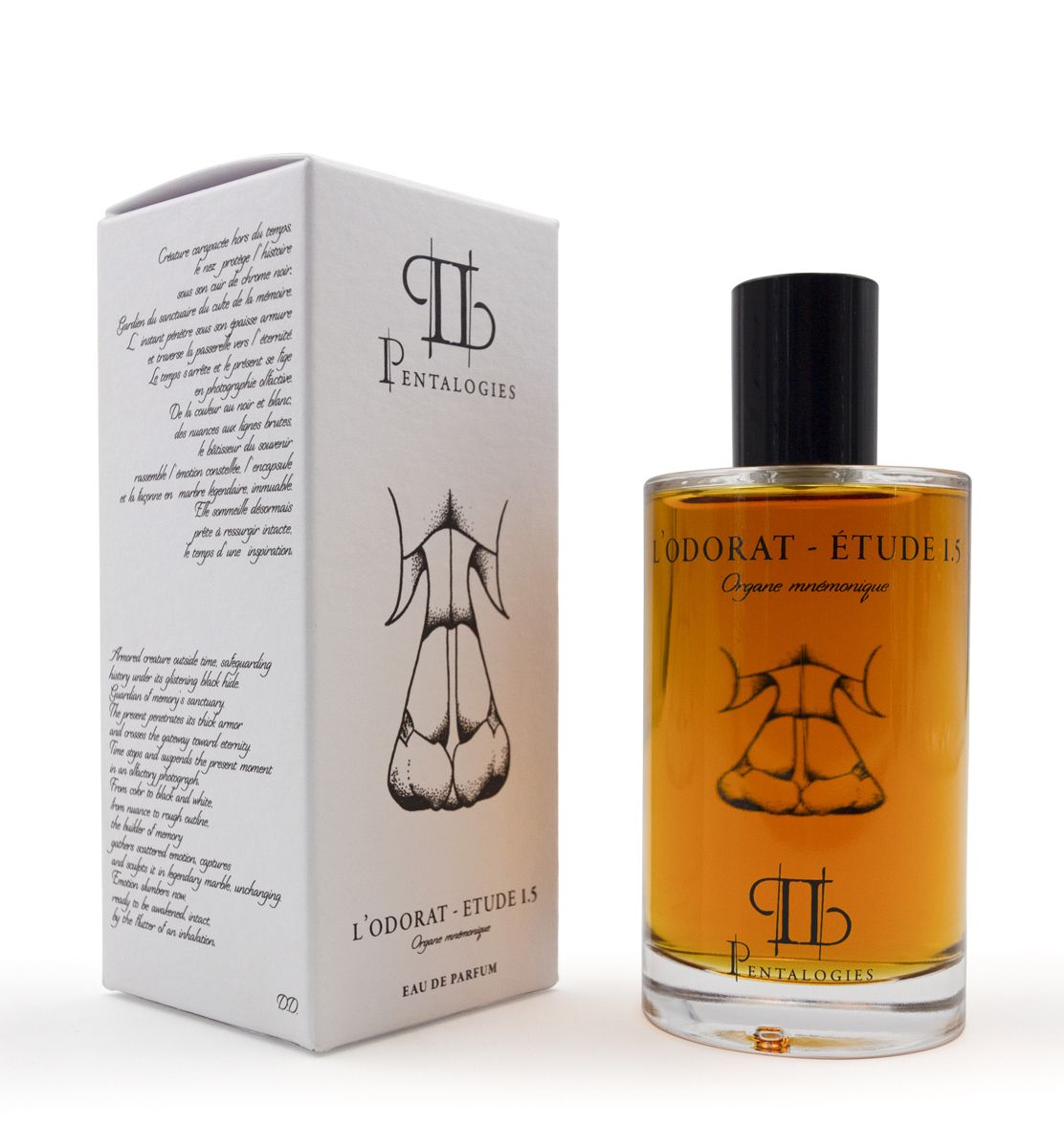 Etude 1.5: L’Odorat - Pentalogies - Gallery 1