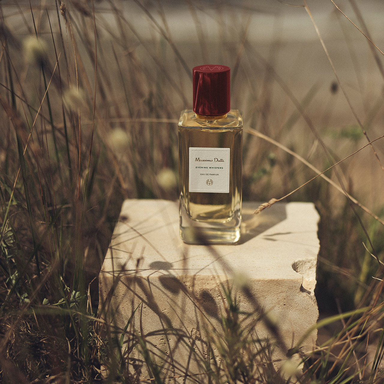 Evening Whispers - Massimo Dutti - Gallery 1
