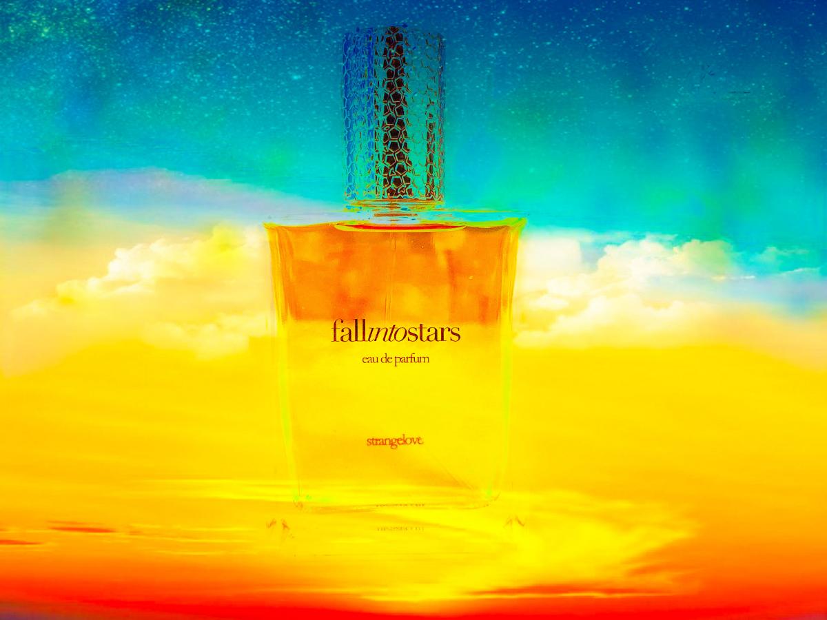 Fall Into Stars - Strangelove NYC - Gallery 1