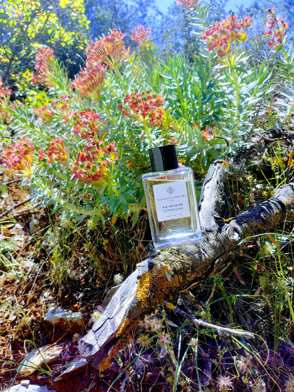 Fig Infusion - Essential Parfums - Gallery 2