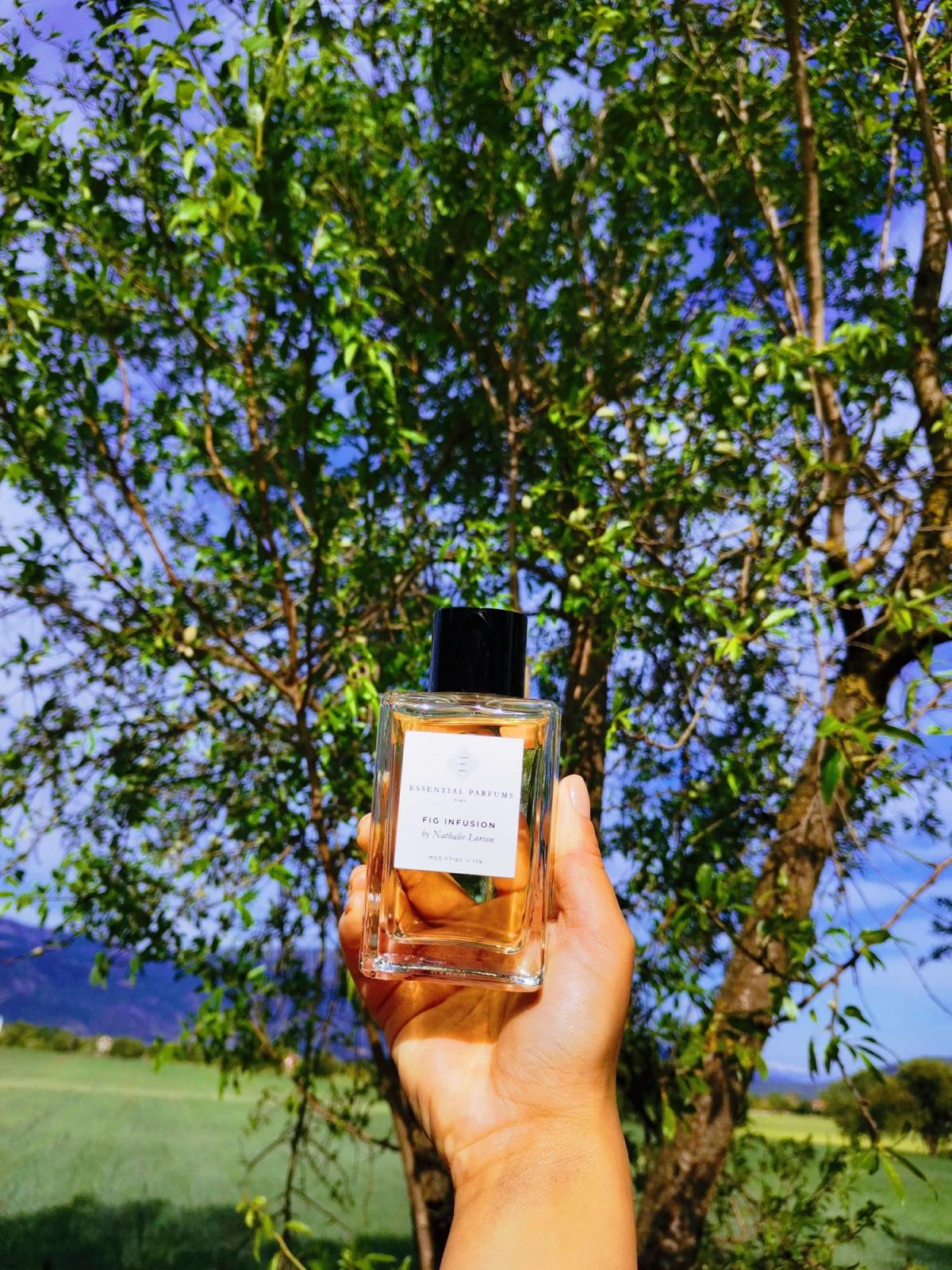 Fig Infusion - Essential Parfums - Gallery 4
