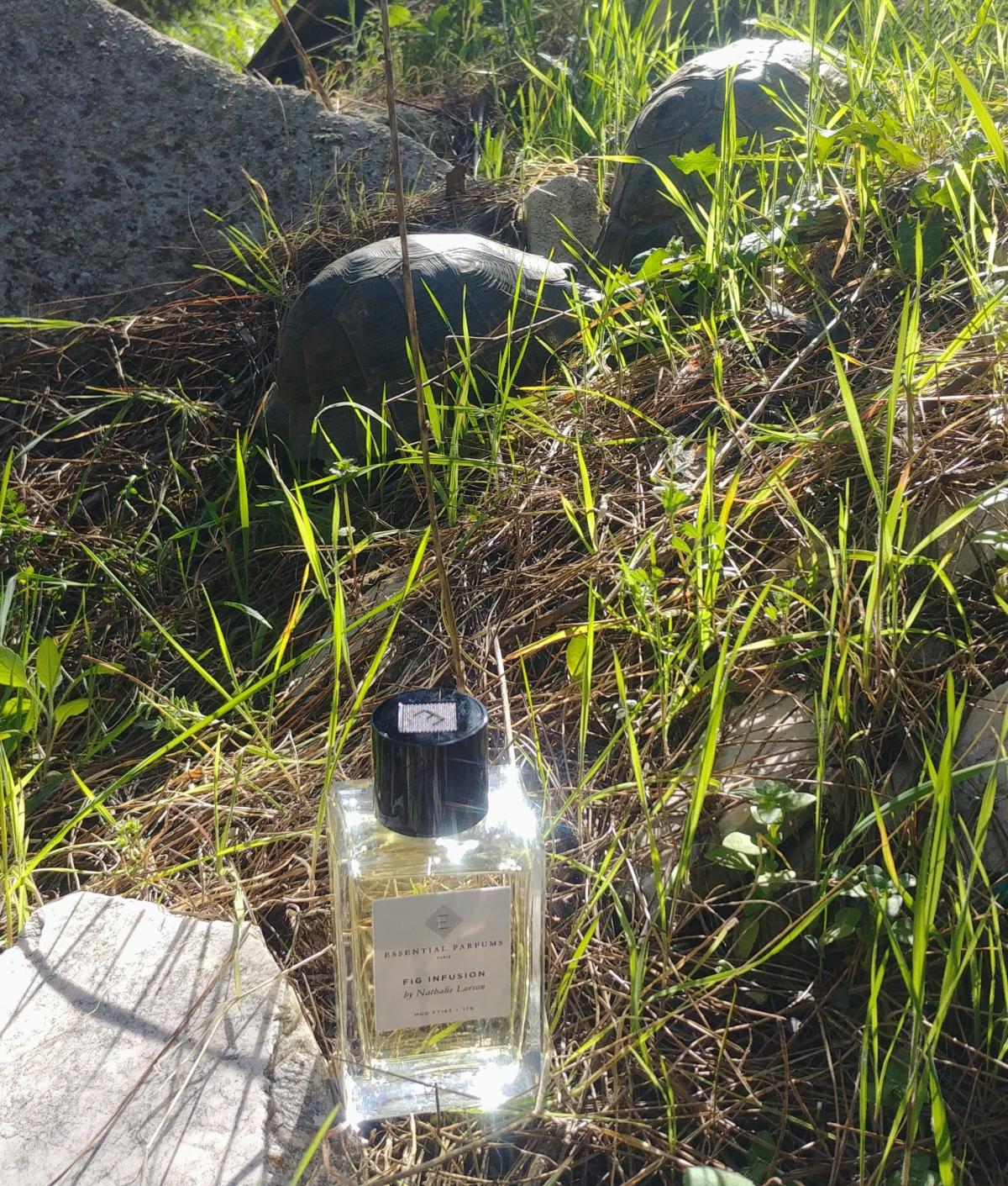Fig Infusion - Essential Parfums - Gallery 2