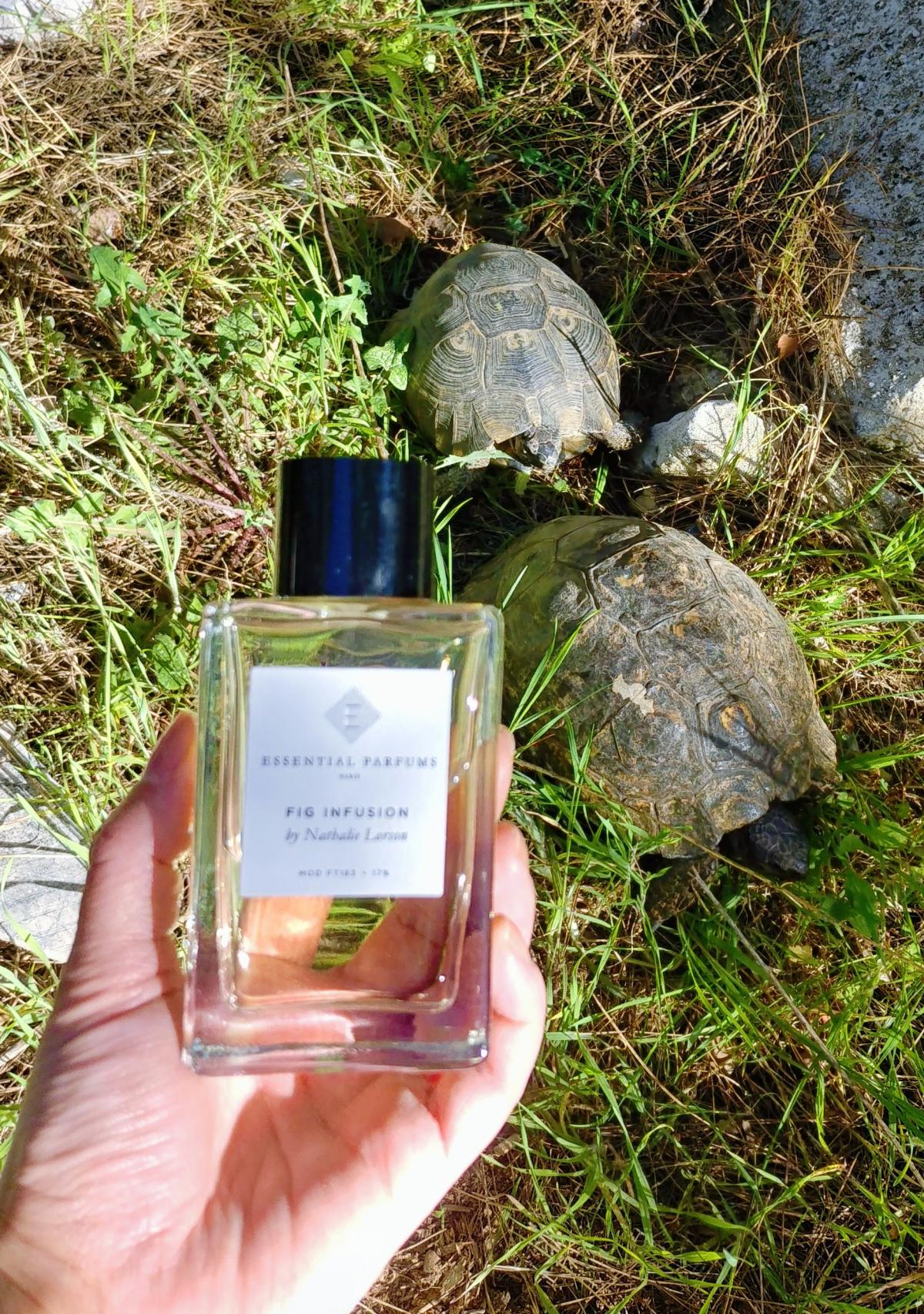Fig Infusion - Essential Parfums - Gallery 3