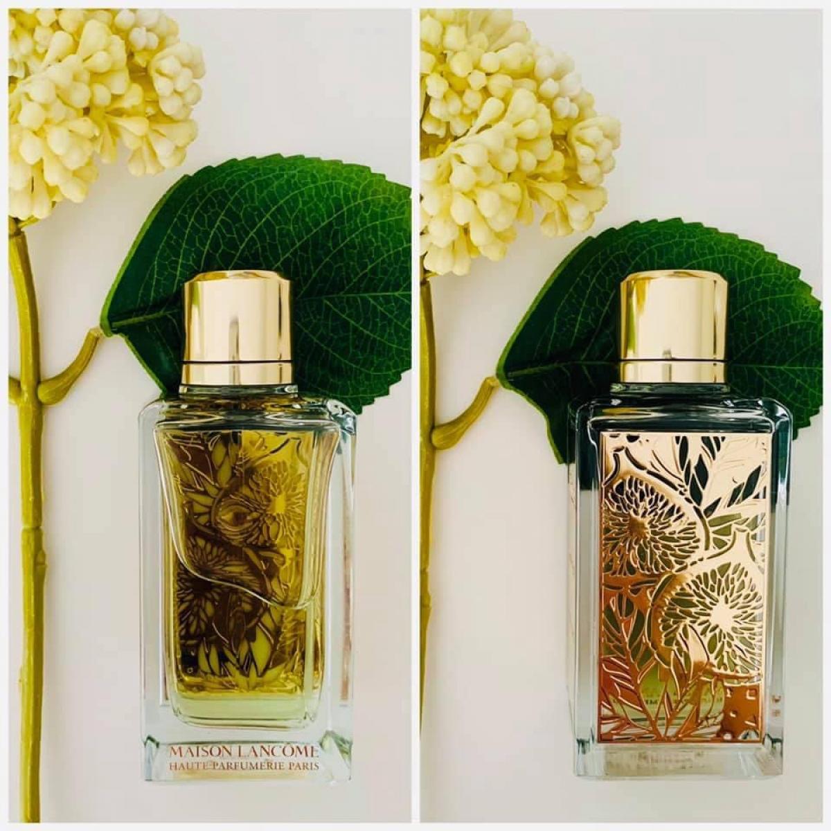 Figues & Agrumes - Lancôme - Gallery 4
