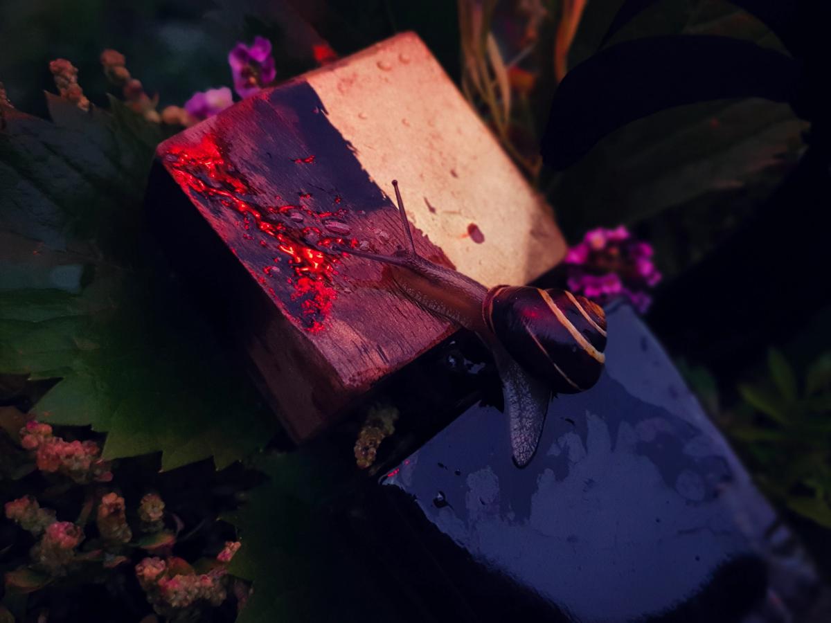 Find Me In The Dark - Jousset Parfums - Gallery 3