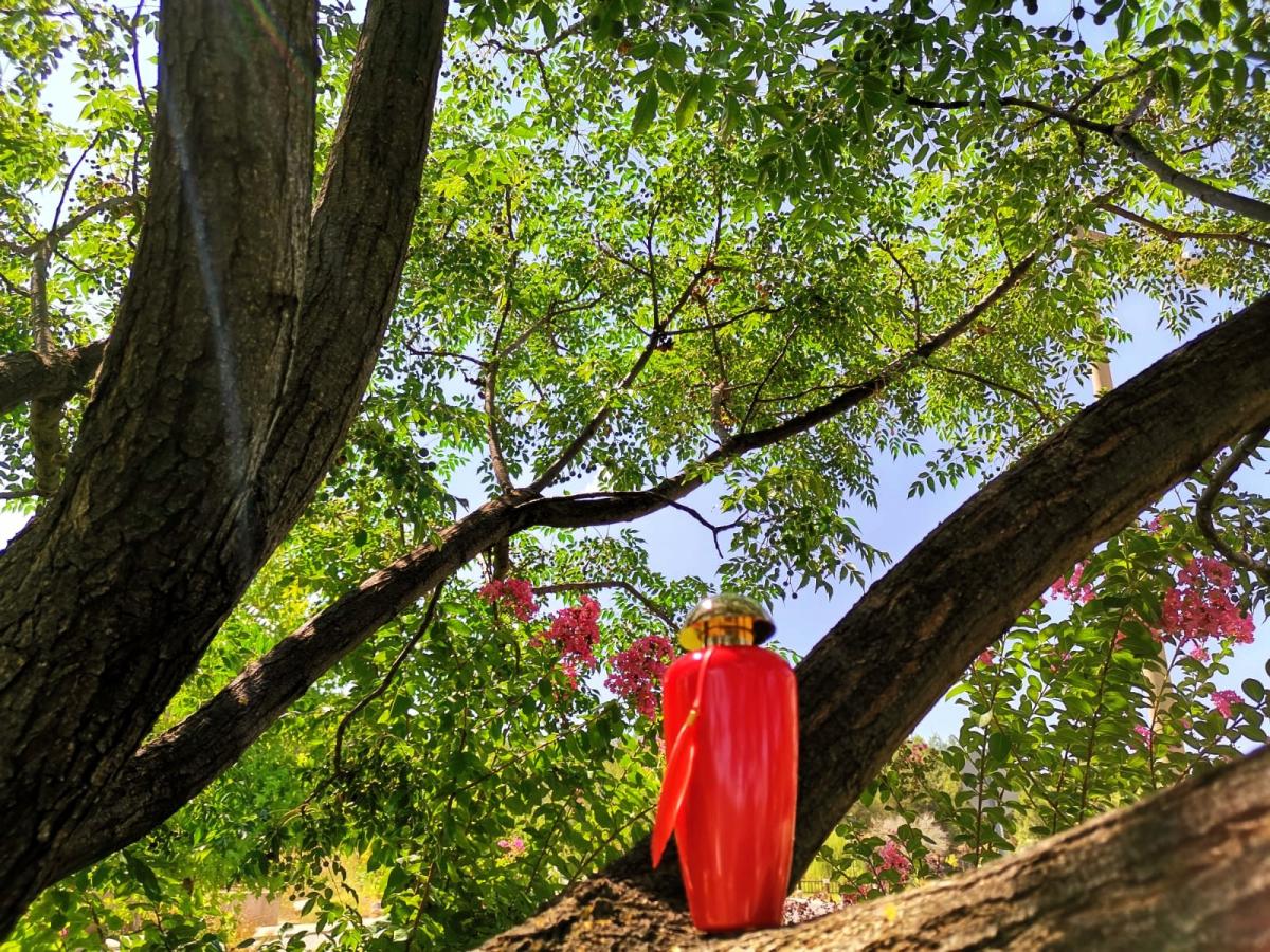 Flamant Rose - The Merchant of Venice - Gallery 3