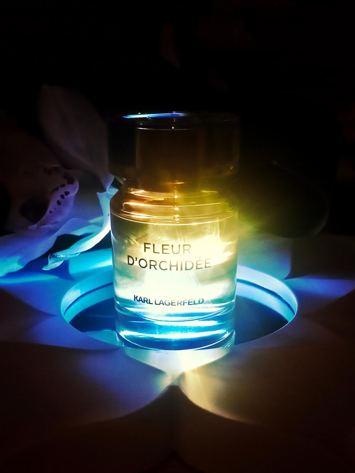 Fleur d'Orchidee - Karl Lagerfeld - Gallery 3