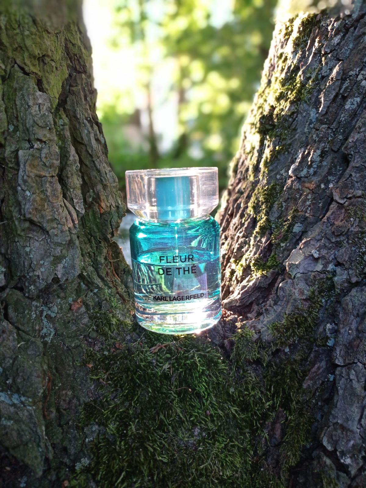 Fleur de Thé - Karl Lagerfeld - Gallery 3