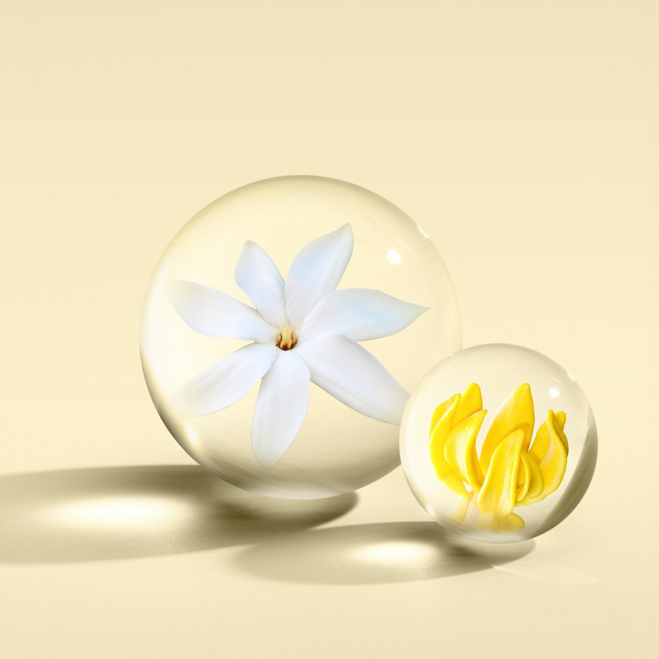 Flora Luminare Eau de Parfum - Molton Brown - Gallery 2