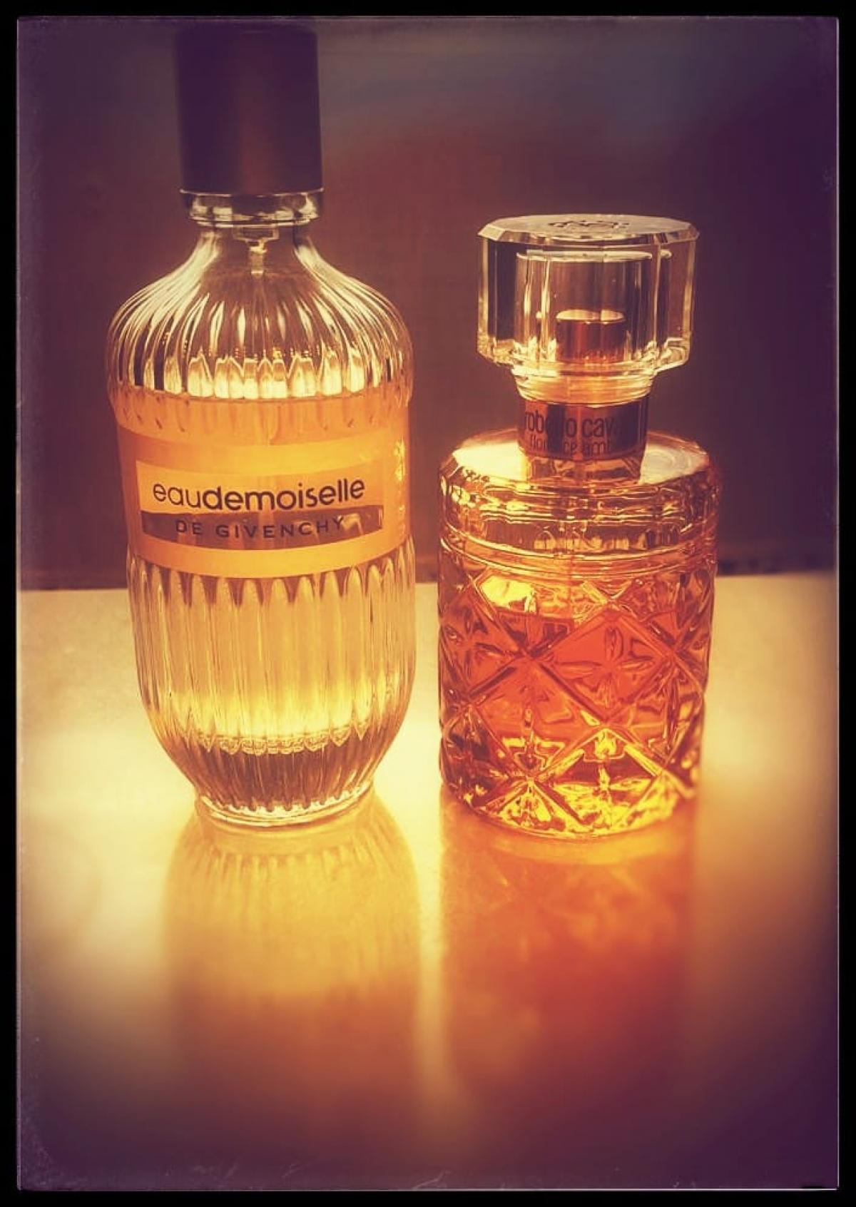 Florence Amber - Roberto Cavalli - Gallery 3