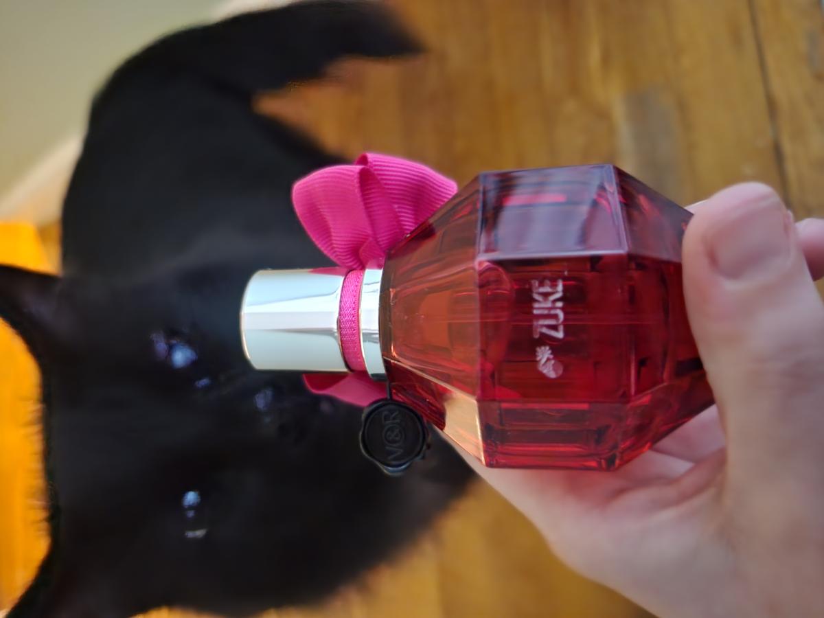 Flowerbomb Ruby Orchid - Viktor&Rolf - Gallery 3