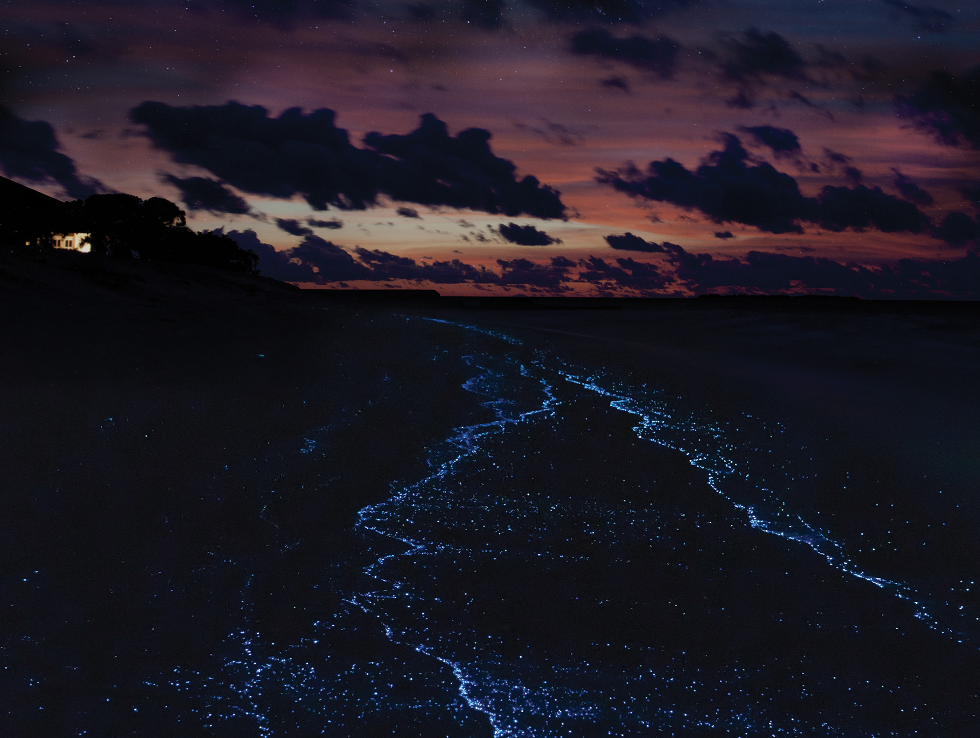 fluo-ral - Nomenclature - Gallery 2