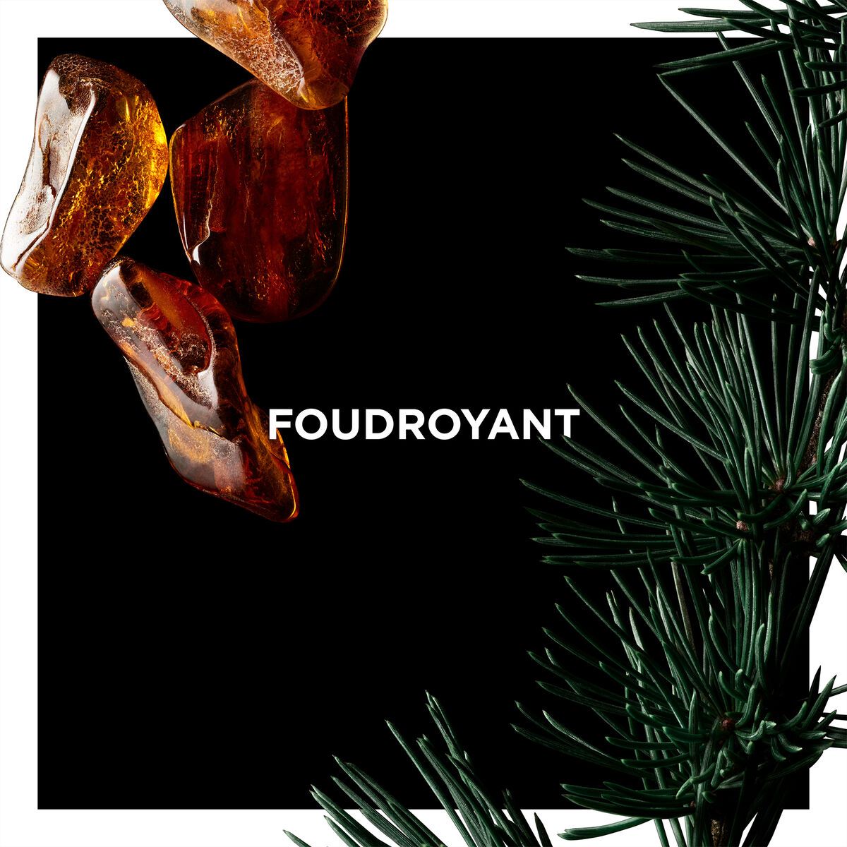 Foudroyant - Givenchy - Gallery 2