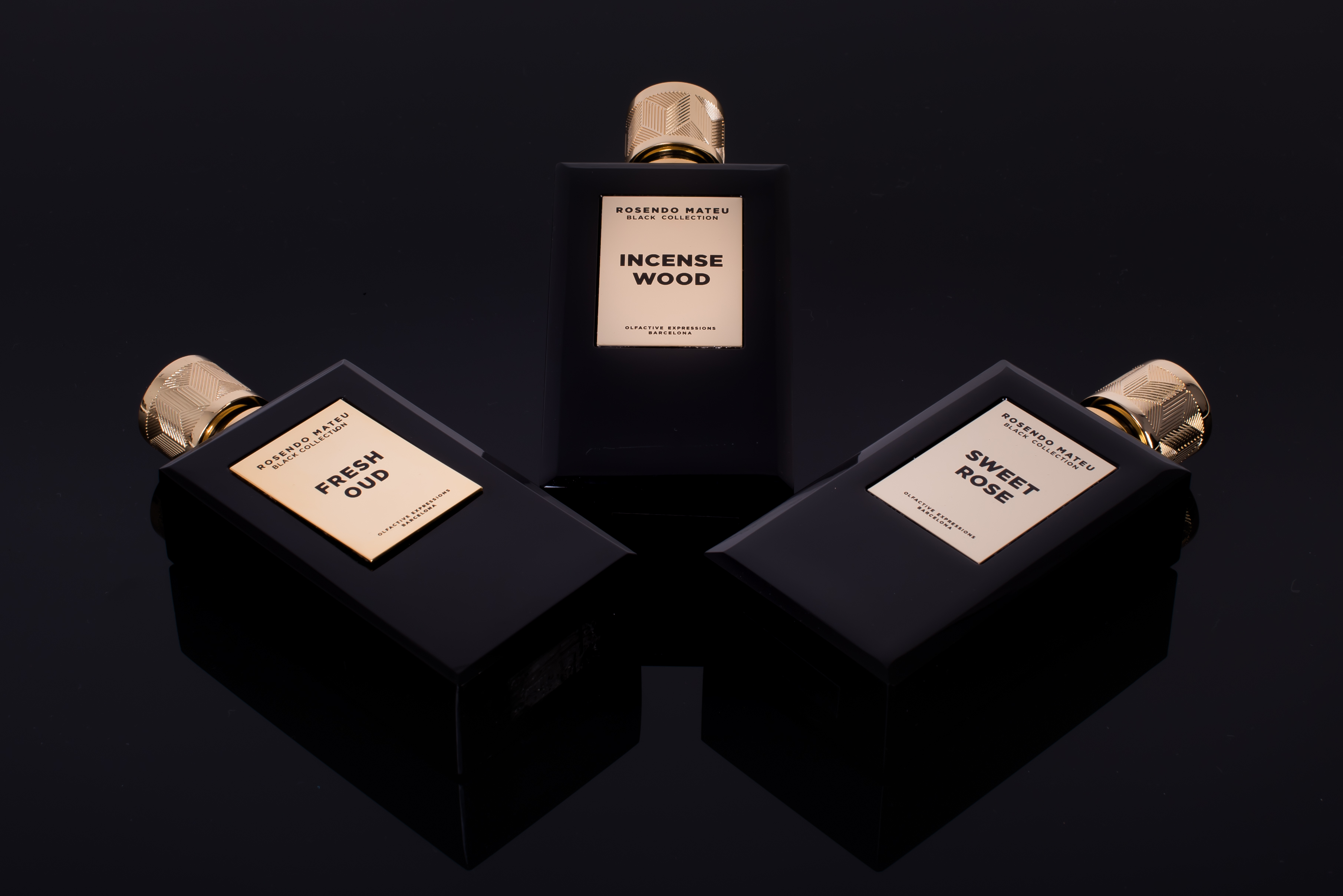 Fresh Oud - Rosendo Mateu Olfactive Expressions - Gallery 3