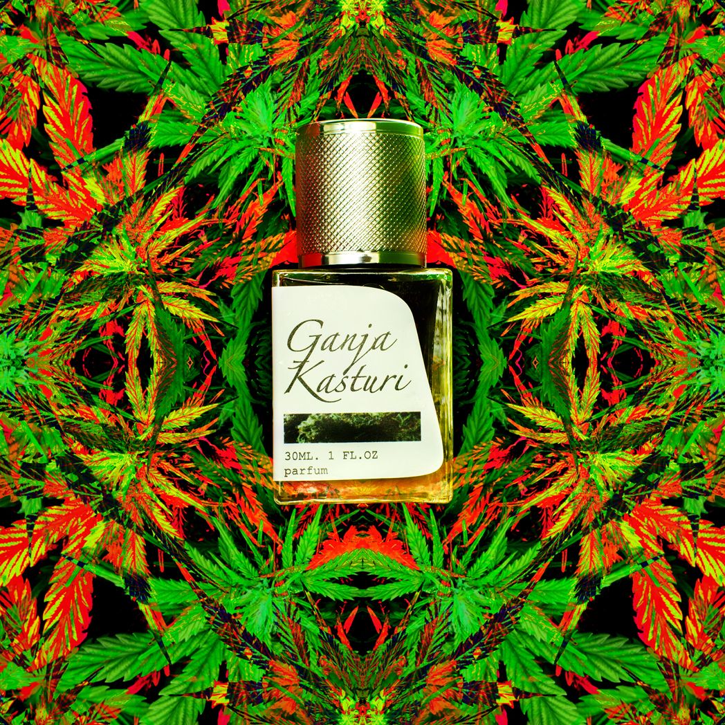 Ganja Kasturi - Prin - Gallery 1