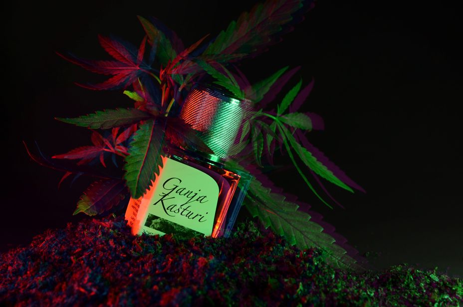 Ganja Kasturi - Prin - Gallery 2