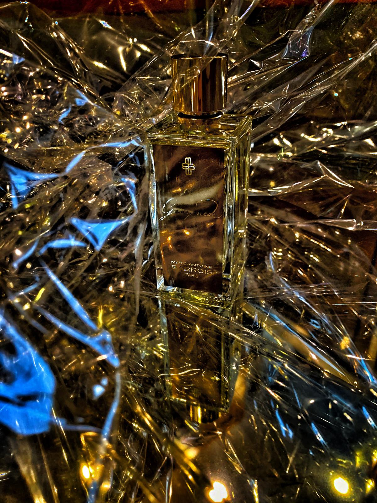 Ganymede - Marc-Antoine Barrois - Gallery 3