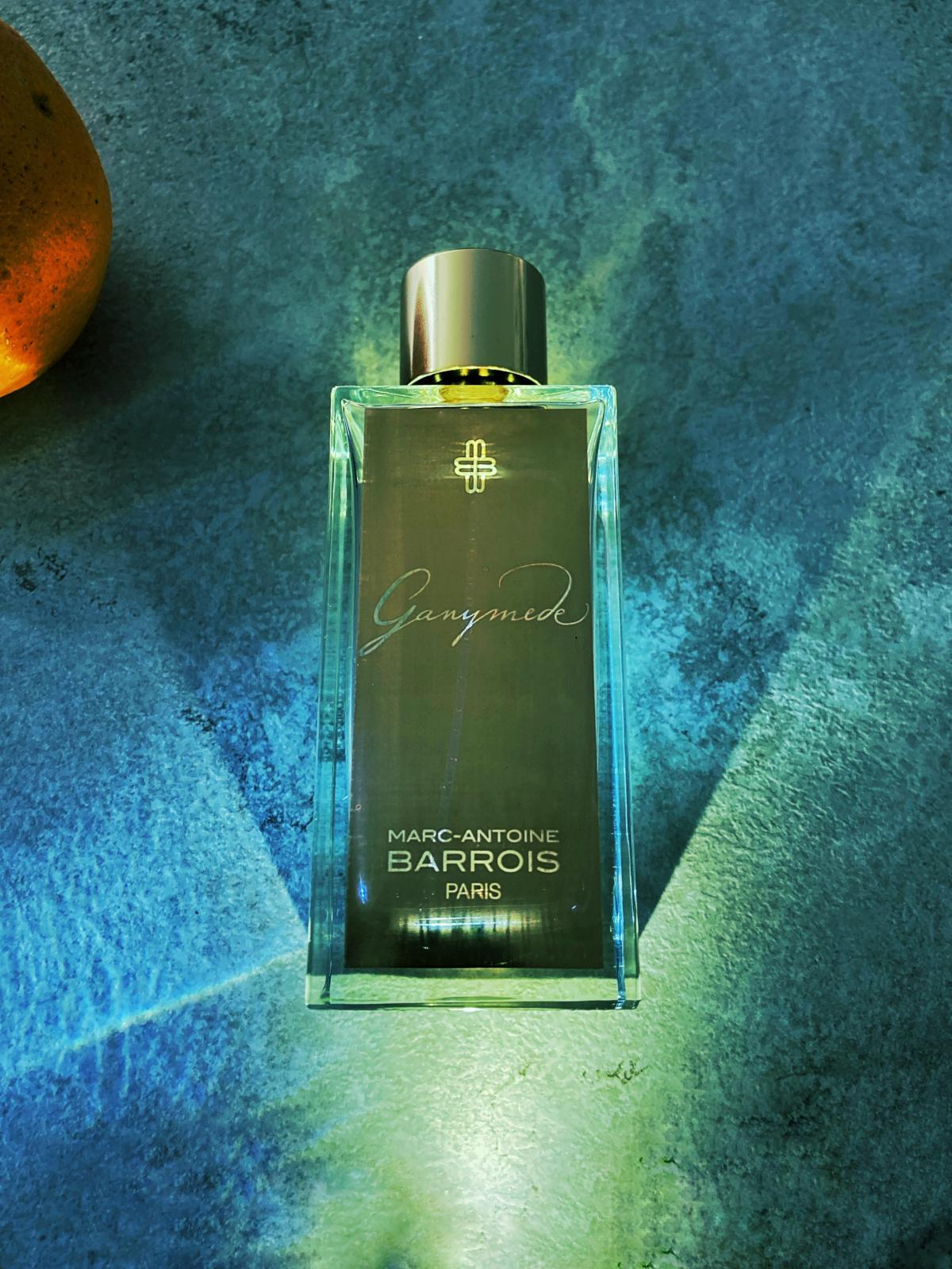 Ganymede - Marc-Antoine Barrois - Gallery 3