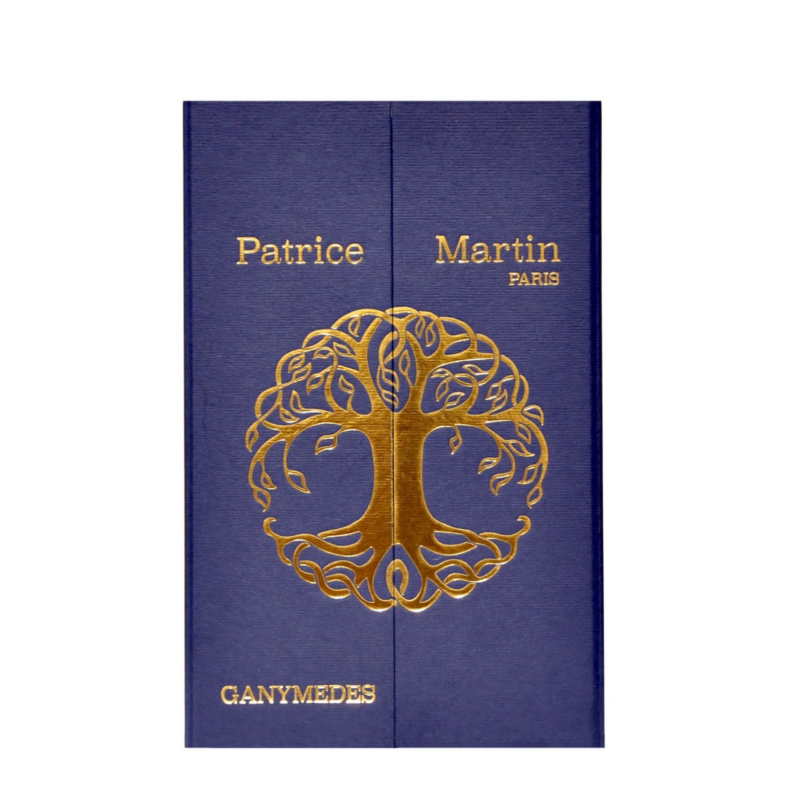 Ganymedes - Patrice Martin - Gallery 1