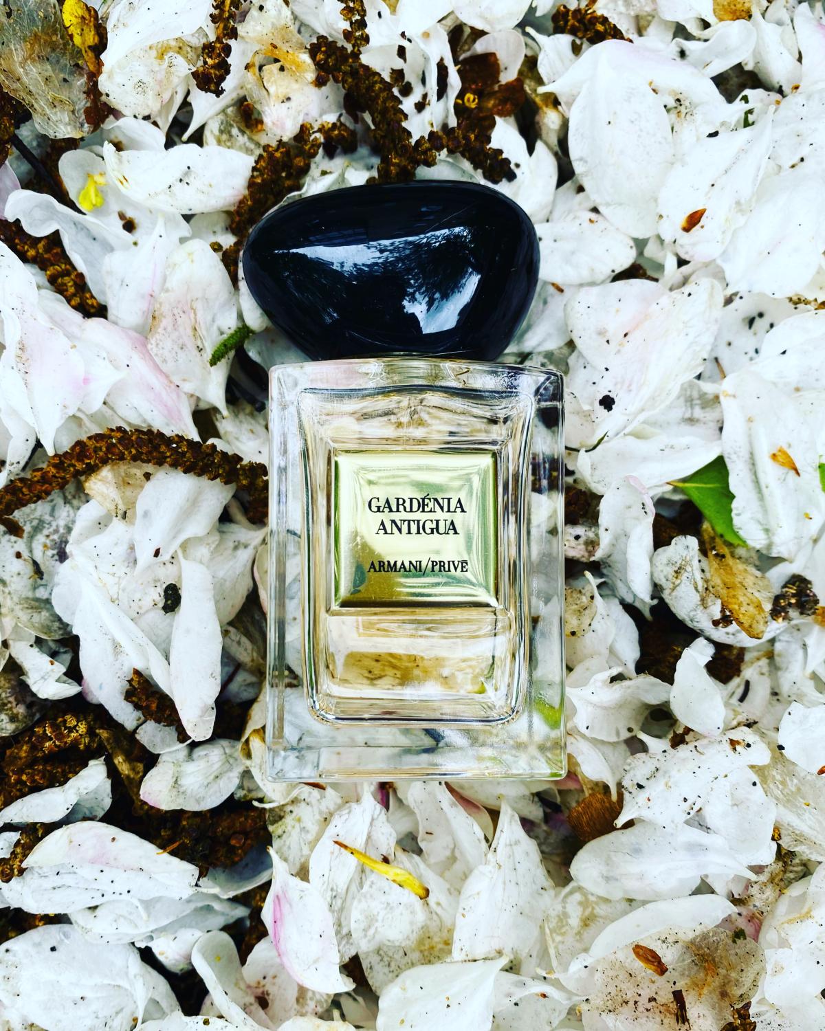 Gardénia Antigua - Giorgio Armani - Gallery 1