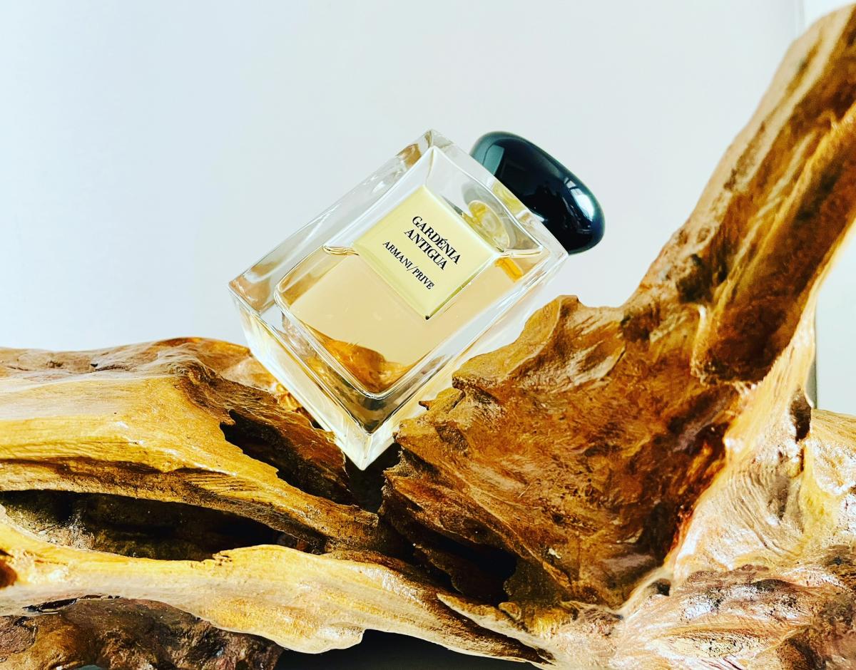 Gardénia Antigua - Giorgio Armani - Gallery 3